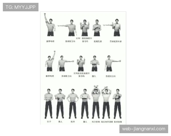 裁判判罚手势全解析：这些动作到底代表什么规则？